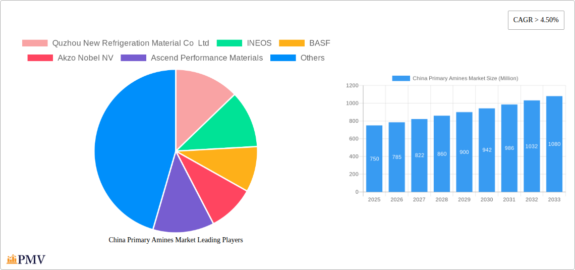 China Primary Amines Market Research Report - Market Size, Growth & Forecast
