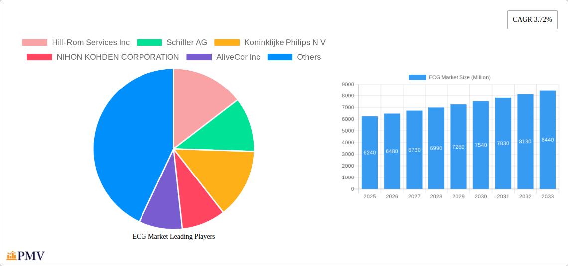 ECG Market Research Report - Market Size, Growth & Forecast