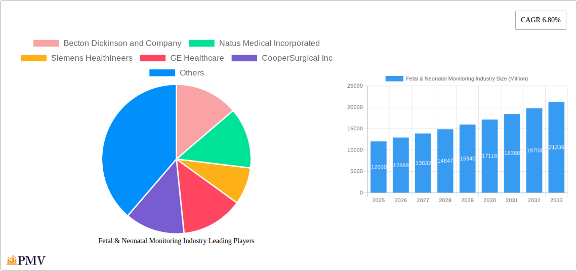 Fetal & Neonatal Monitoring Industry Research Report - Market Size, Growth & Forecast