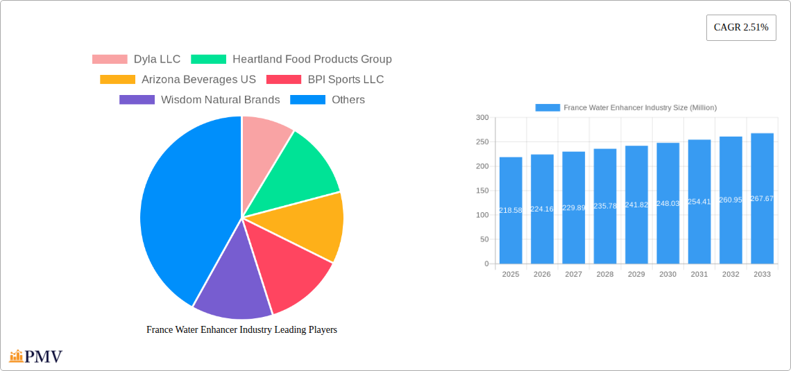France Water Enhancer Industry Research Report - Market Size, Growth & Forecast
