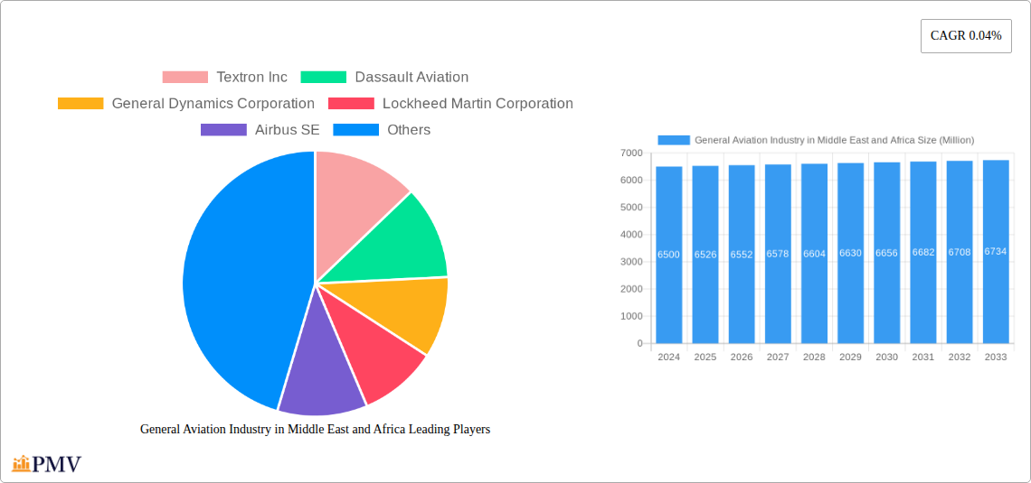 General Aviation Industry in Middle East and Africa Research Report - Market Size, Growth & Forecast