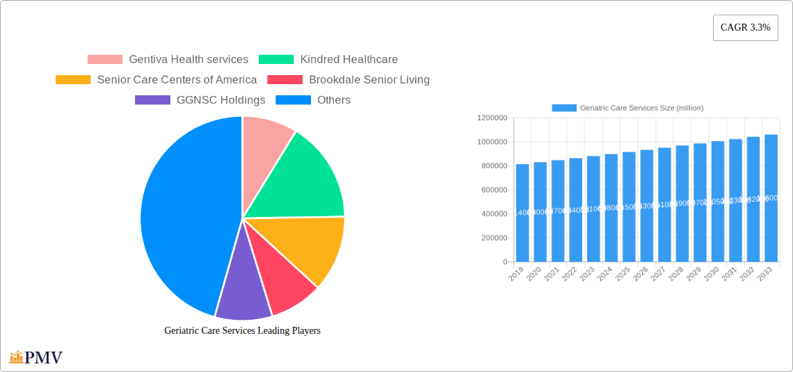 Geriatric Care Services Research Report - Market Size, Growth & Forecast