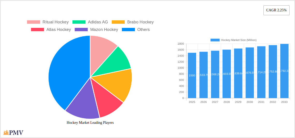 Hockey Market Research Report - Market Size, Growth & Forecast