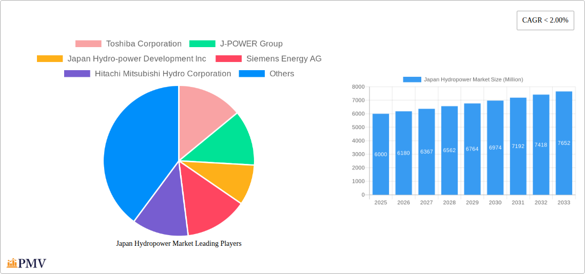 Japan Hydropower Market Research Report - Market Size, Growth & Forecast