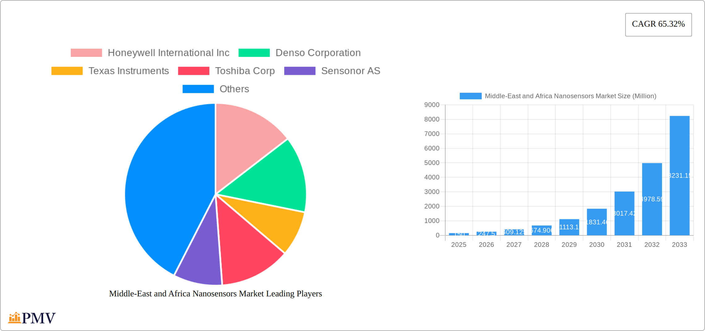 Middle-East and Africa Nanosensors Market Research Report - Market Size, Growth & Forecast