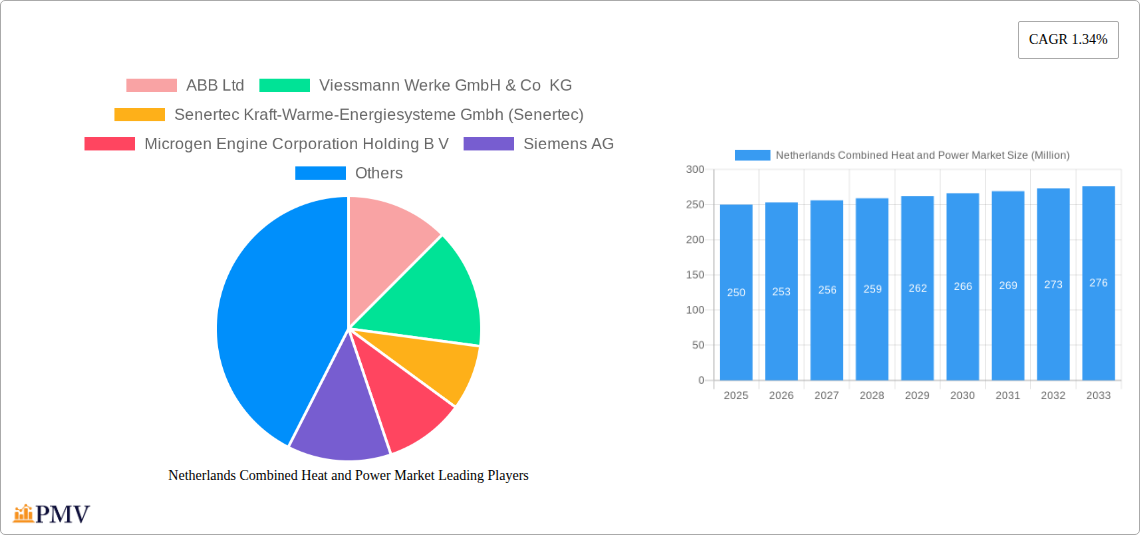 Netherlands Combined Heat and Power Market Research Report - Market Size, Growth & Forecast