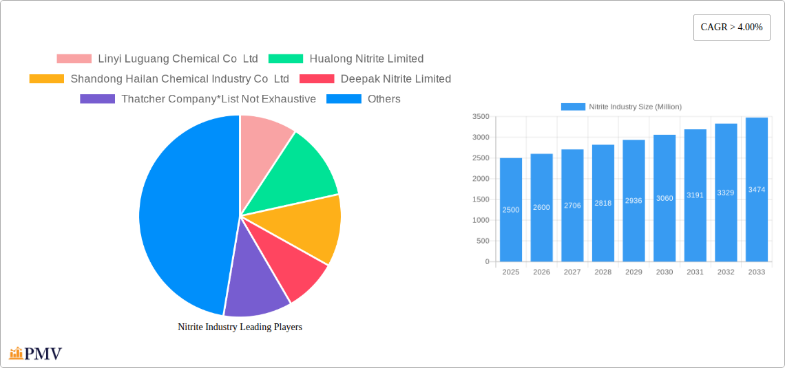 Nitrite Industry Research Report - Market Size, Growth & Forecast
