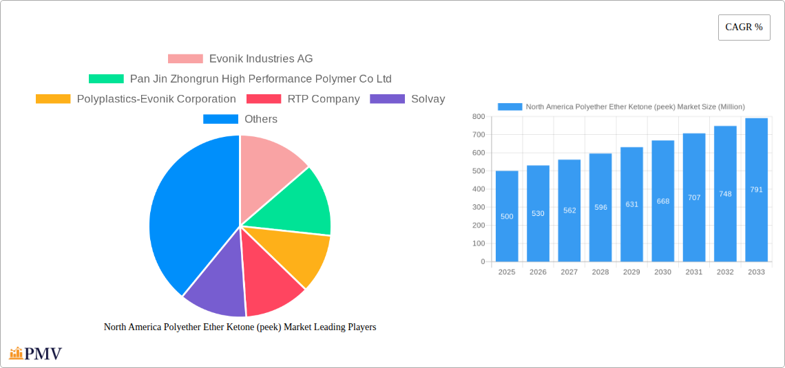 North America Polyether Ether Ketone (peek) Market Research Report - Market Size, Growth & Forecast