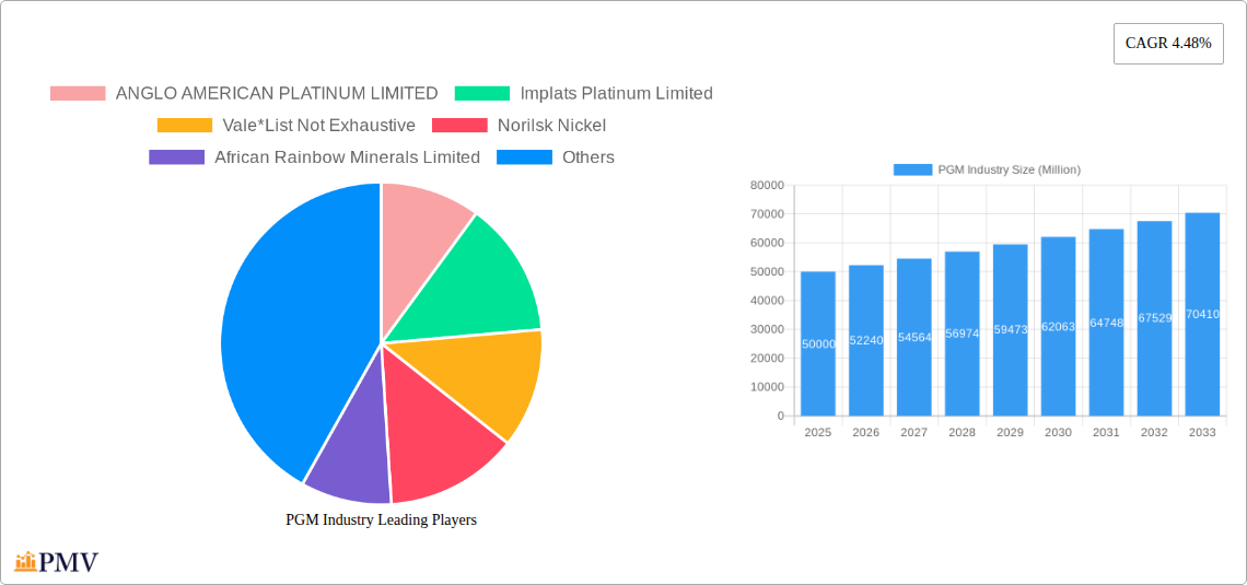 PGM Industry Research Report - Market Size, Growth & Forecast