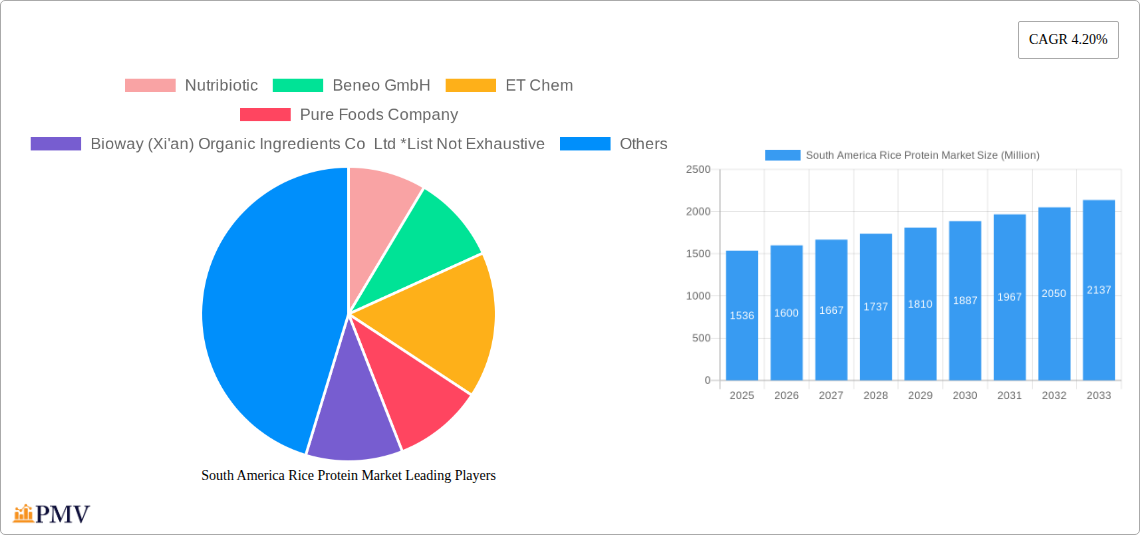 South America Rice Protein Market Research Report - Market Size, Growth & Forecast