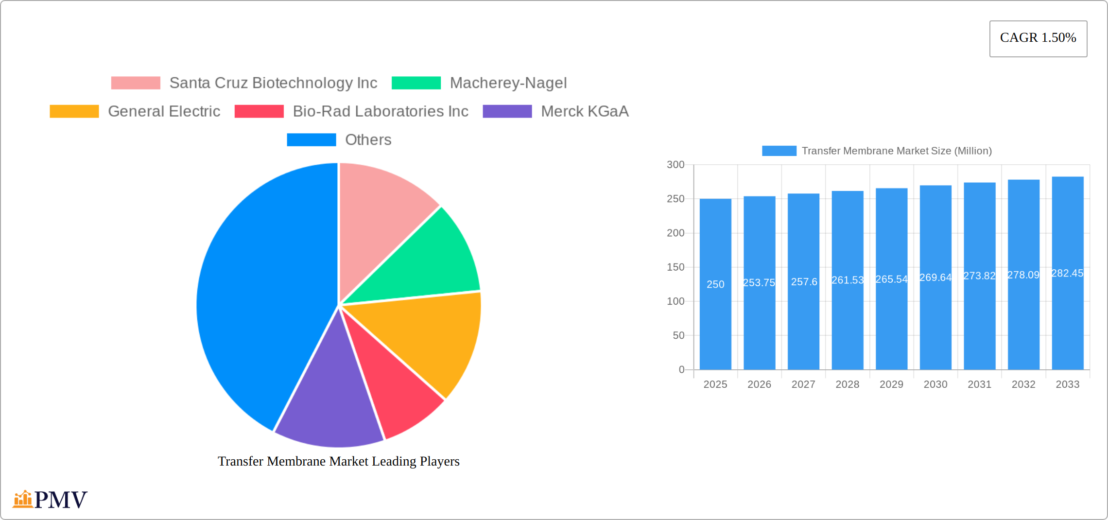 Transfer Membrane Market Research Report - Market Size, Growth & Forecast