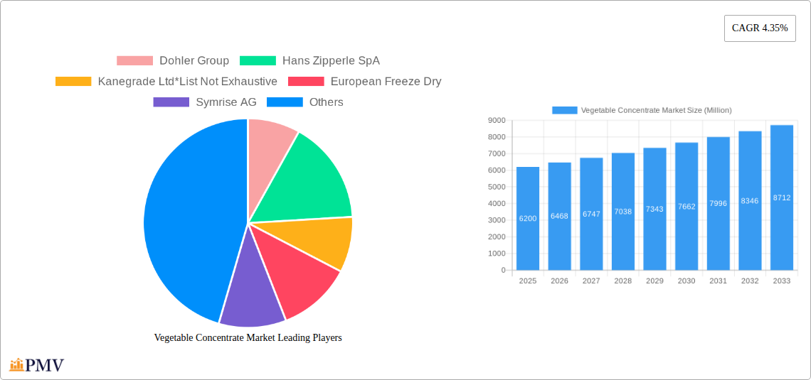 Vegetable Concentrate Market Research Report - Market Size, Growth & Forecast