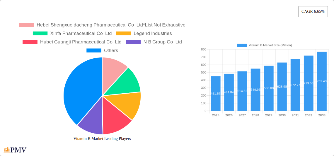 Vitamin B Market Research Report - Market Size, Growth & Forecast