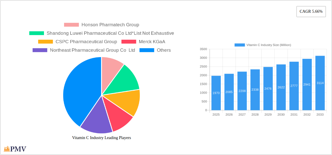 Vitamin C Industry Research Report - Market Size, Growth & Forecast