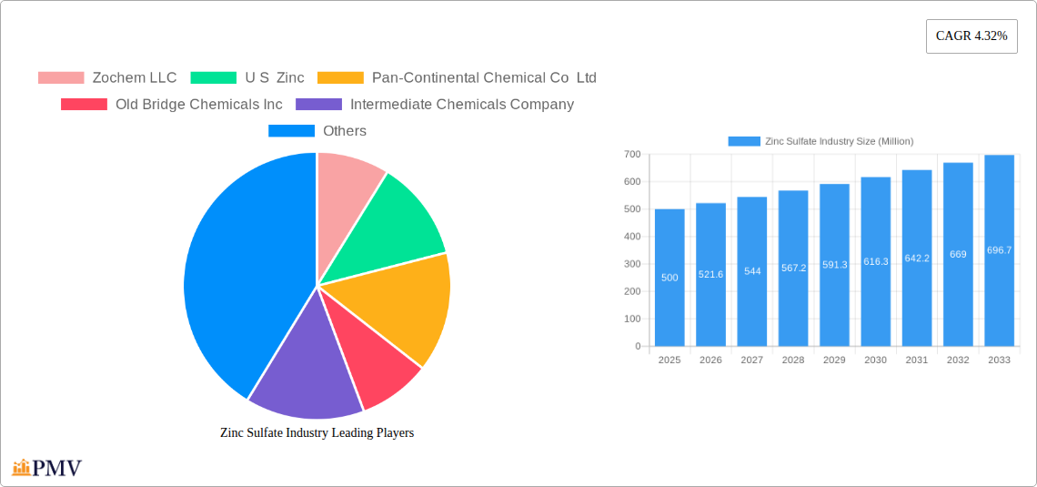 Zinc Sulfate Industry Research Report - Market Size, Growth & Forecast