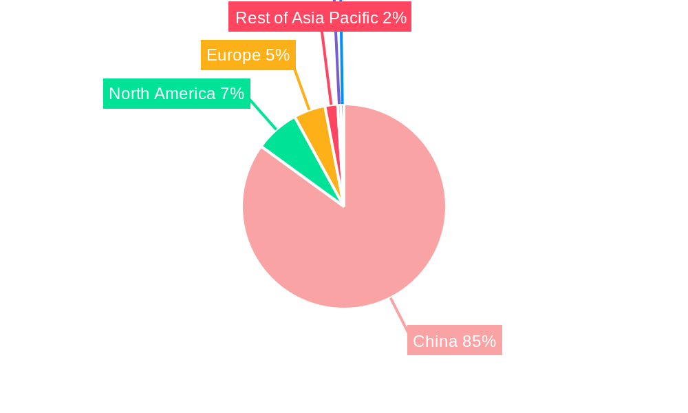 Chinese EV Industry Regional Share