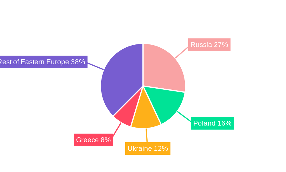 Eastern Europe C4ISR Market Regional Share
