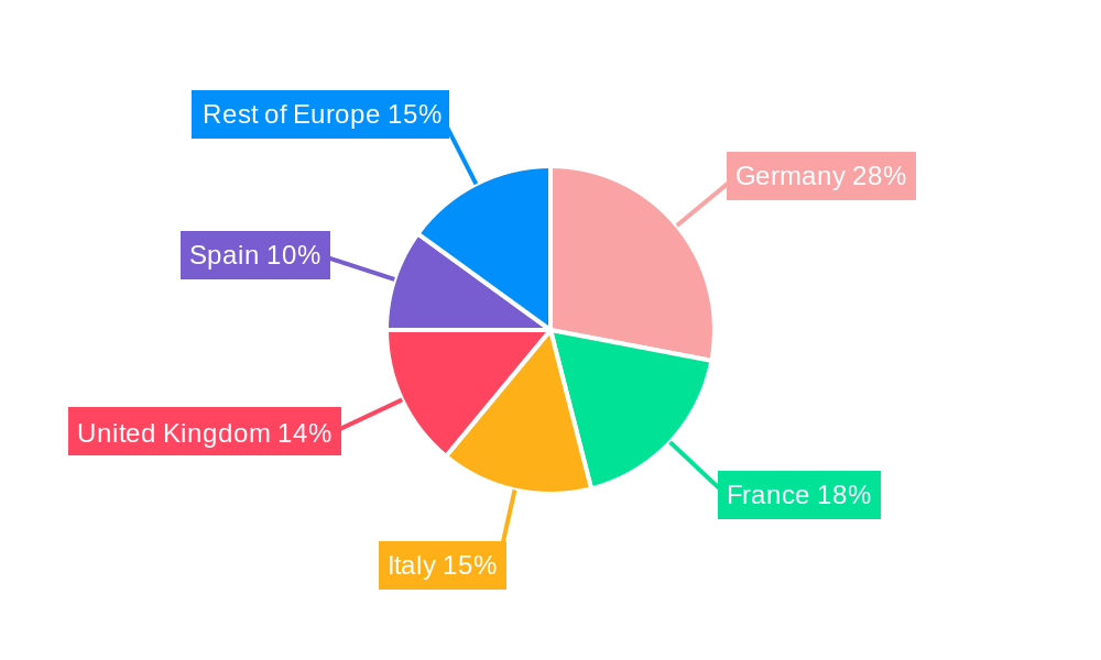 Europe Construction Repair and Rehabilitation Chemicals Market Regional Share