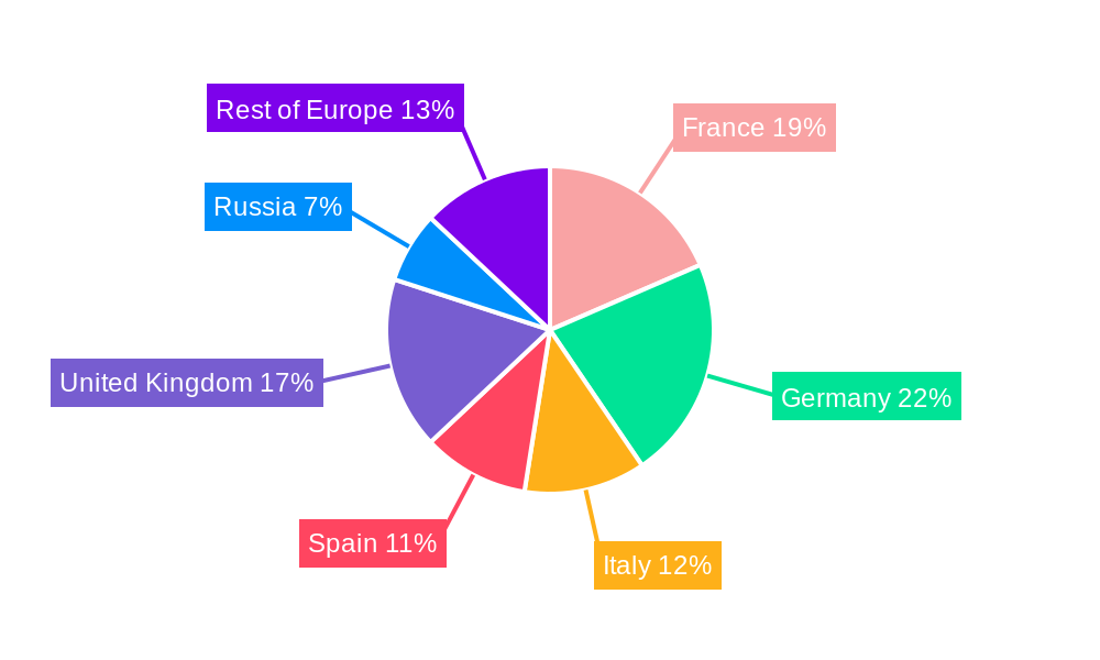 Europe Infusion Pump Industry Regional Share