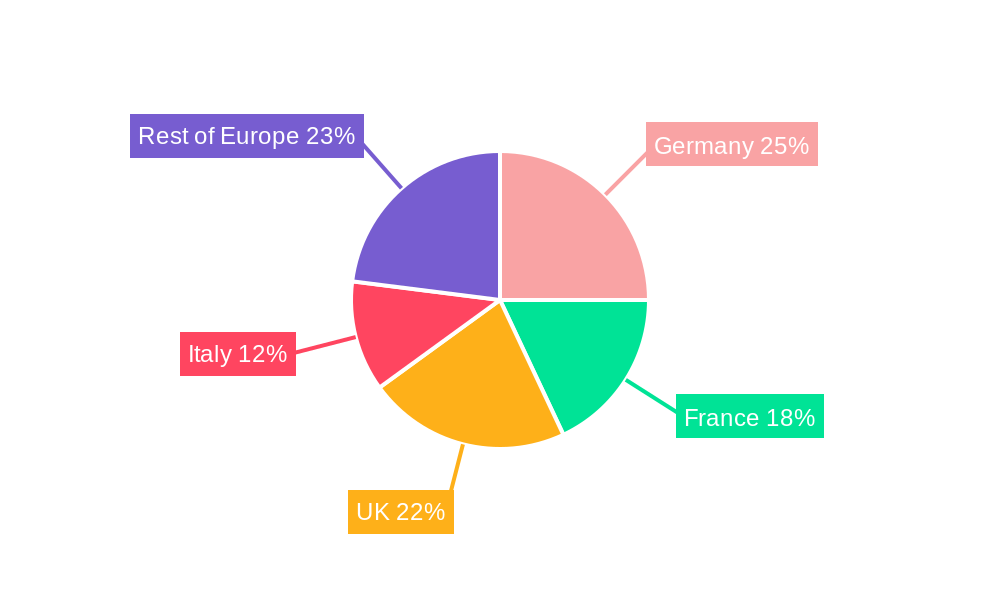 Europe Non-Destructive Testing Industry Regional Share