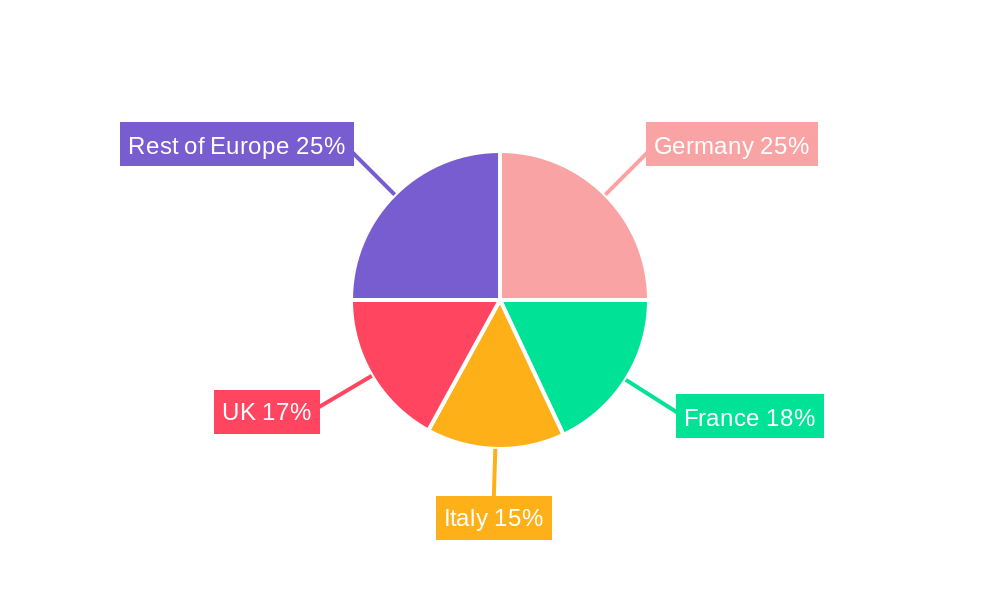 Europe Palletizer Market Regional Share