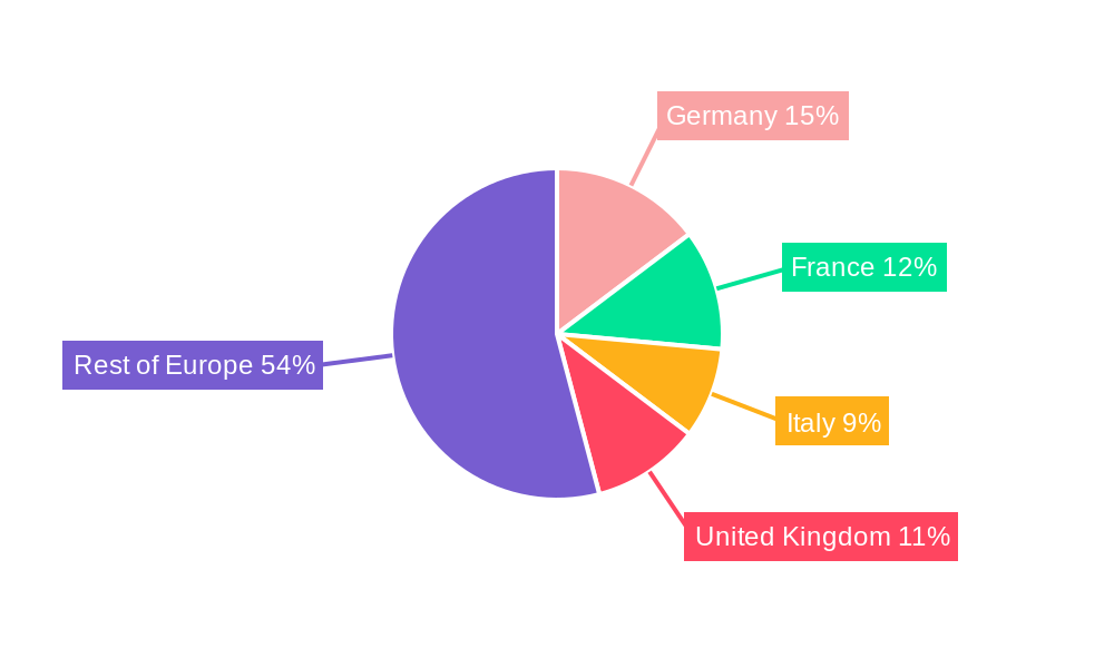 Europe Powder Coatings Market Regional Share