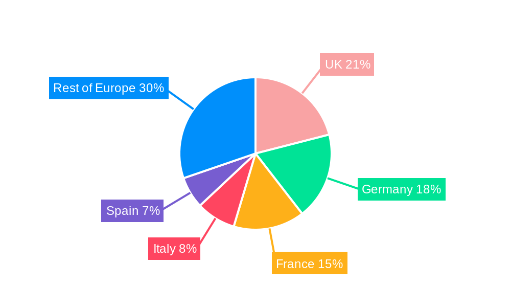 Europe Public Infrastructure Safety Market Regional Share