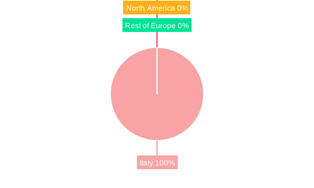Italy Digital Respiratory Devices Market Regional Share