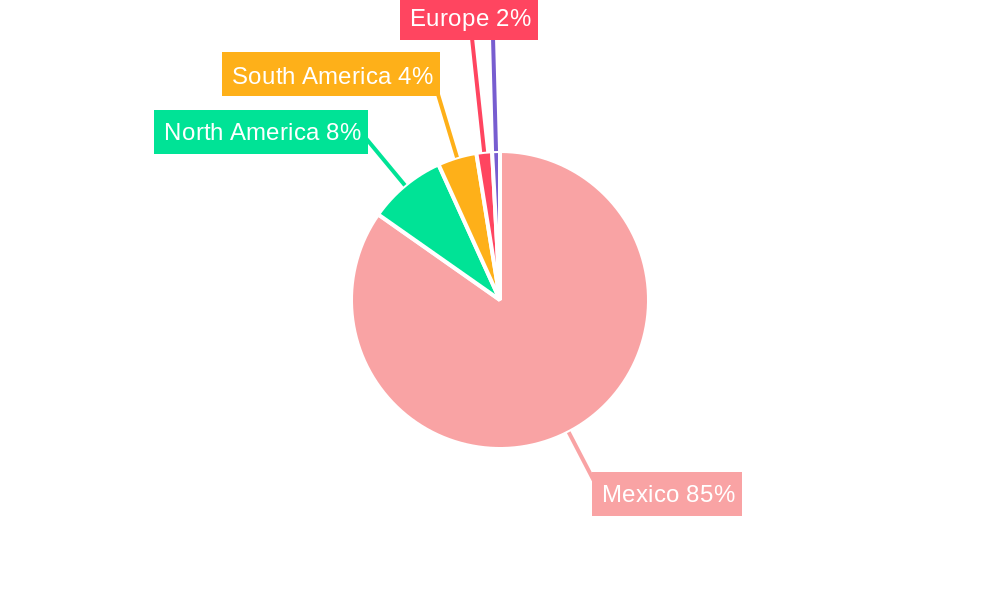 Mexico Protective Coatings Market Regional Share