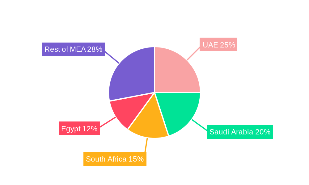 Middle East & Africa AI And Cybersecurity Industry Regional Share