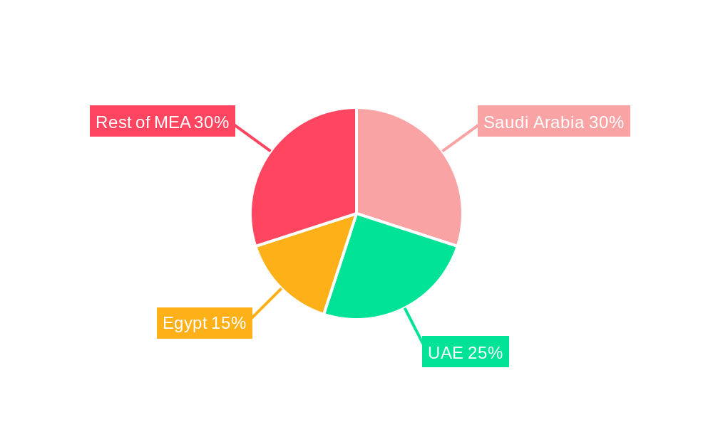 Middle East and Africa Active and Intelligent Packaging Market Regional Share