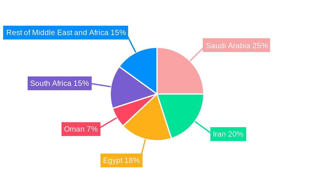 Middle East and Africa Insulin Pens Market Regional Share