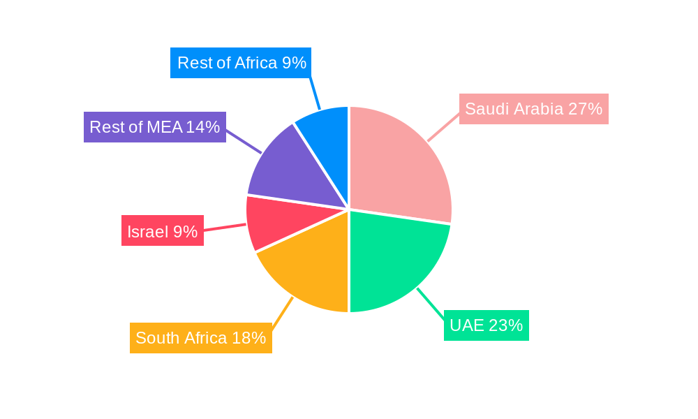 Middle-East and Africa Nanosensors Market Regional Share