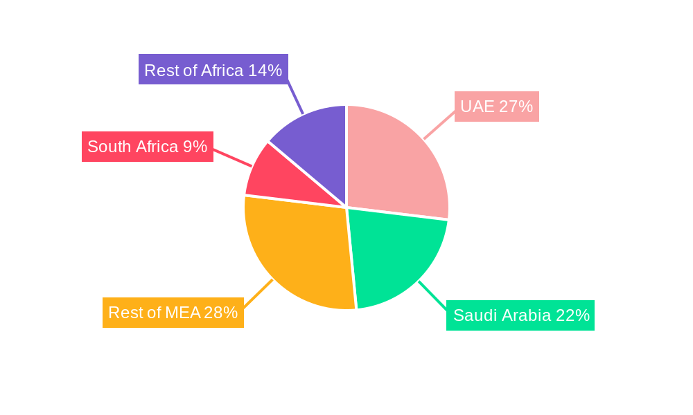 Middle East and Africa Protective Packaging Market Regional Share