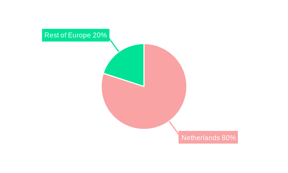 Netherlands Wireless POS Terminal Industry Regional Share