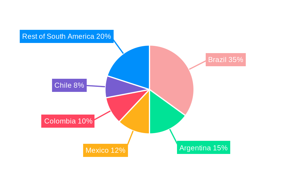 South America Automotive Lubricant Market Regional Share
