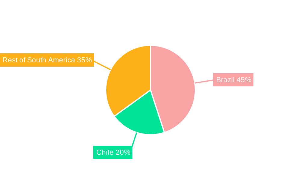 South America Data Center Construction Market Regional Share