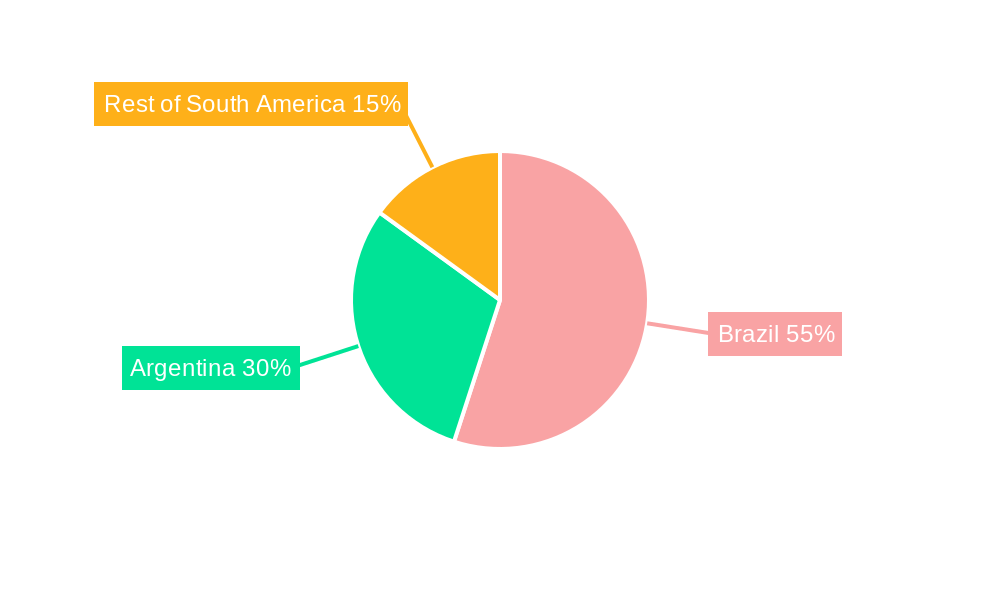 South America Diesel Generator Industry Regional Share