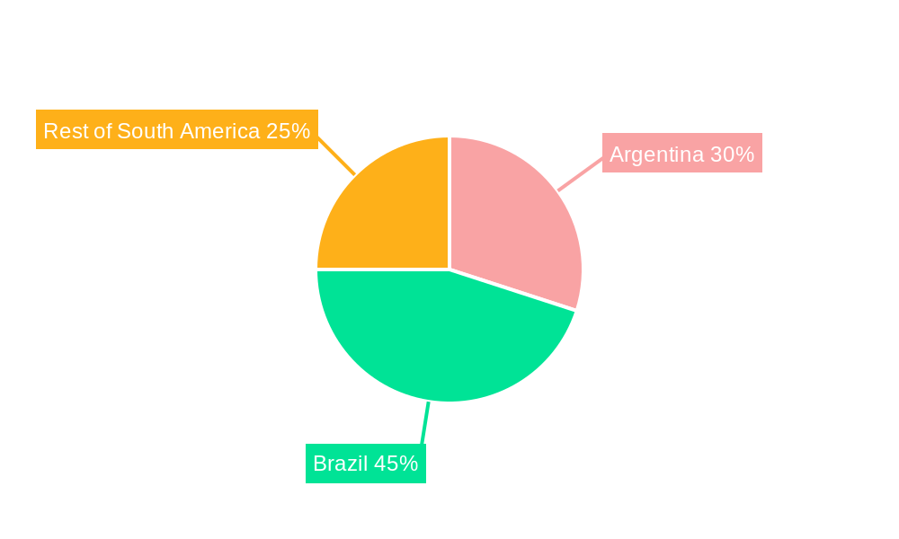South America Feed Antibiotics Market Regional Share