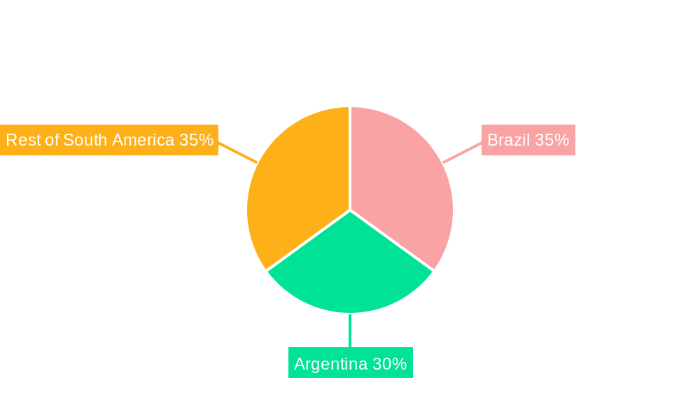 South America Malt Ingredient Market Regional Share