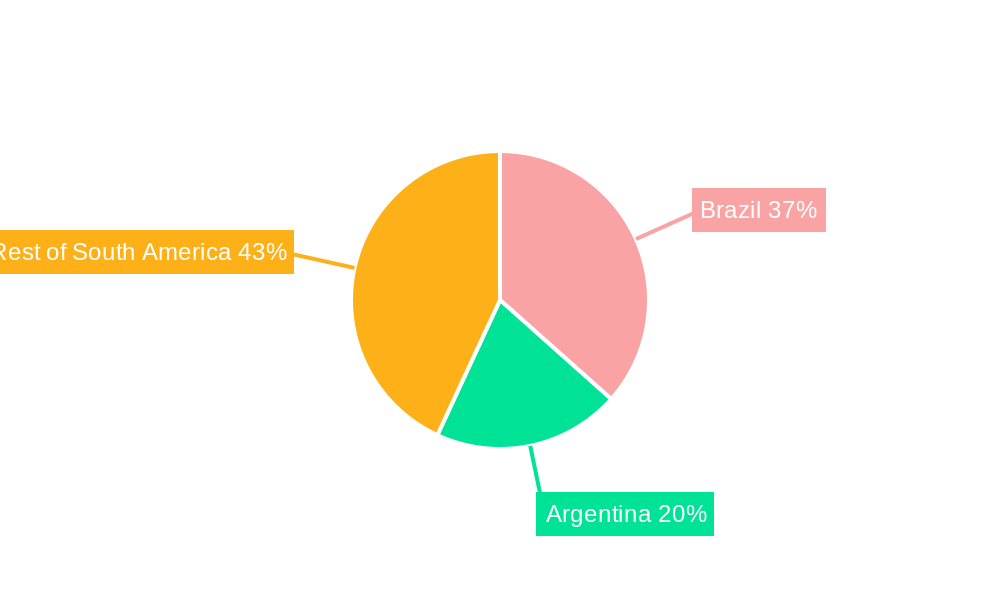 South America Medium Voltage Switchgear Market Regional Share