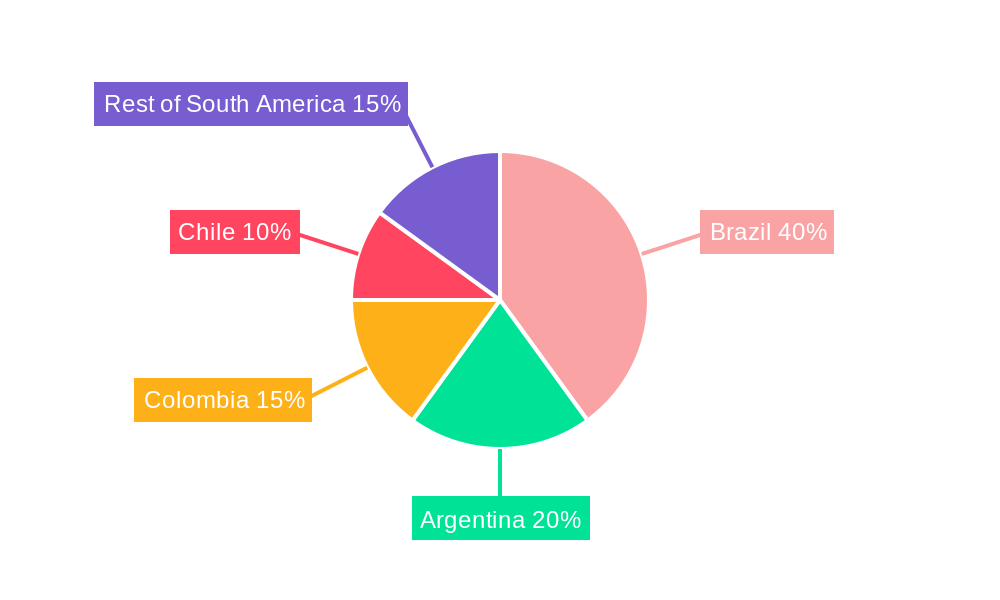 South America Paints and Coatings Additives Market Regional Share