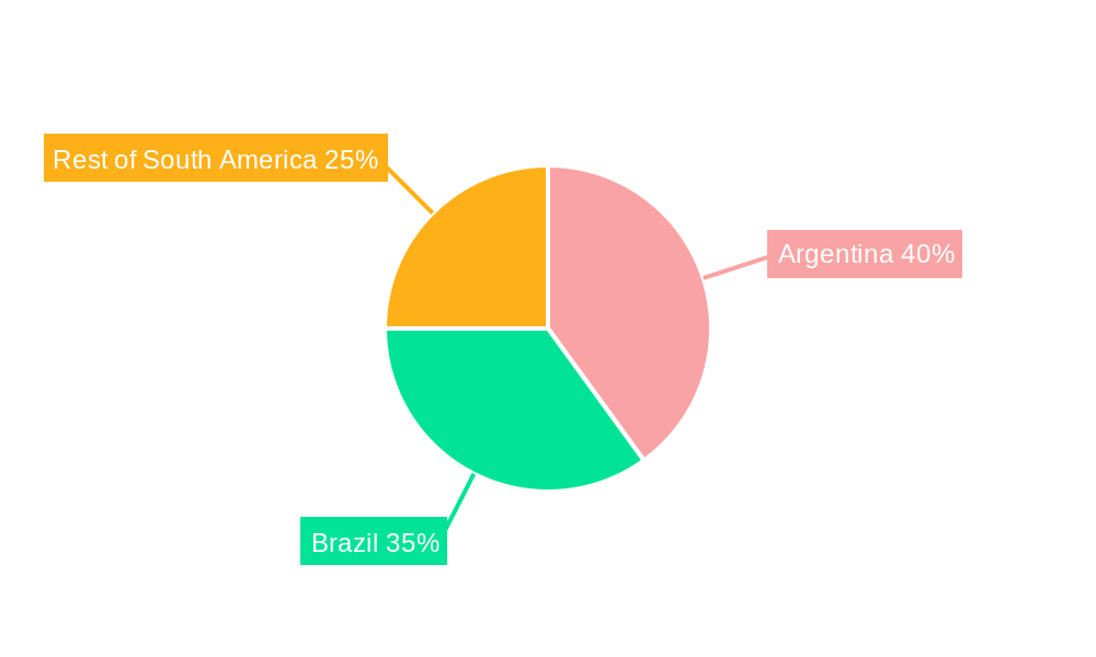 South America Wine Market Regional Share