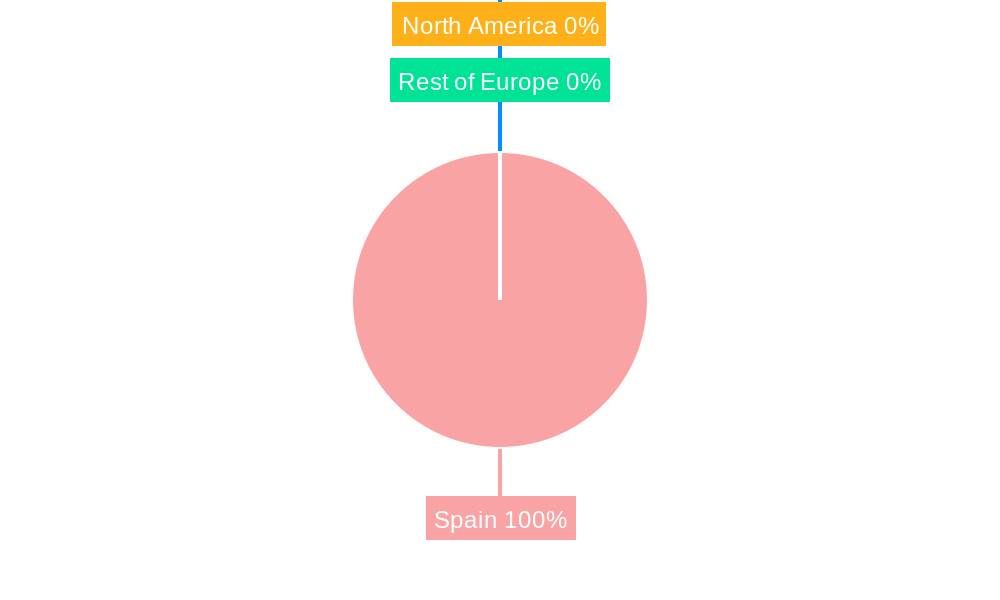 Spanish Payments Market Regional Share
