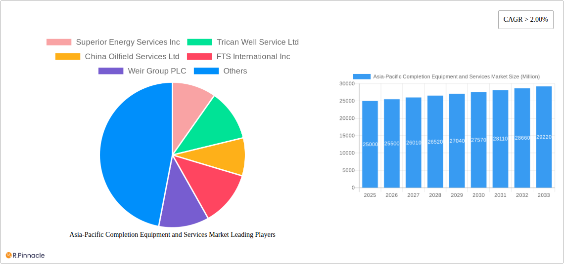 Asia-Pacific Completion Equipment and Services Market Research Report - Market Size, Growth & Forecast