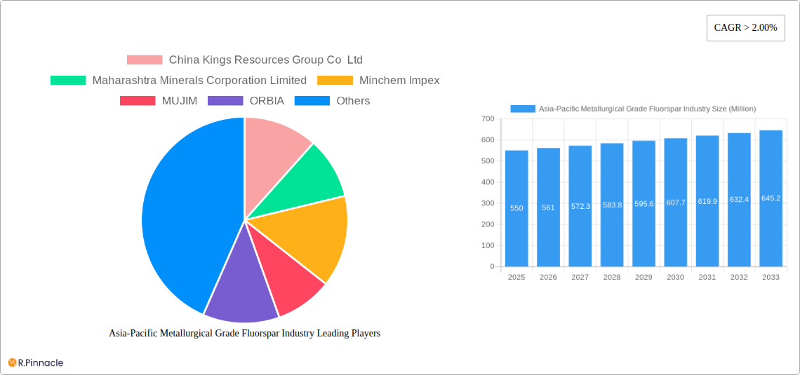 Asia-Pacific Metallurgical Grade Fluorspar Industry Research Report - Market Size, Growth & Forecast