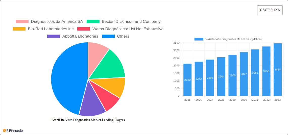 Brazil In-Vitro Diagnostics Market Research Report - Market Size, Growth & Forecast