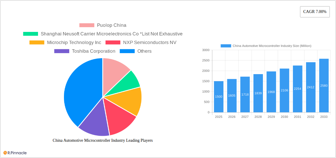 China Automotive Microcontroller Industry Research Report - Market Size, Growth & Forecast