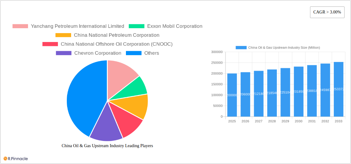 China Oil & Gas Upstream Industry Research Report - Market Size, Growth & Forecast