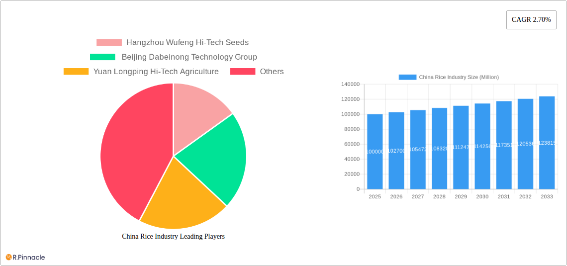 China Rice Industry Research Report - Market Size, Growth & Forecast